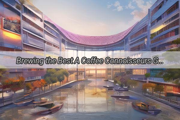 Brewing the Best A Coffee Connoisseurs Guide to Guangzhous Hidden Gems